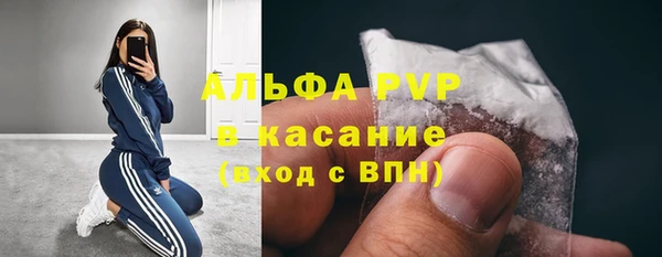ГАЛЛЮЦИНОГЕННЫЕ ГРИБЫ Абаза