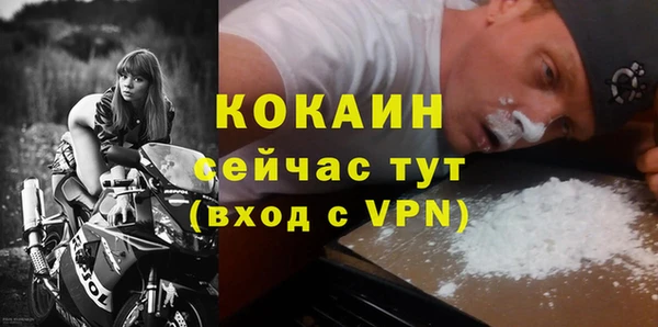 ГАЛЛЮЦИНОГЕННЫЕ ГРИБЫ Абаза