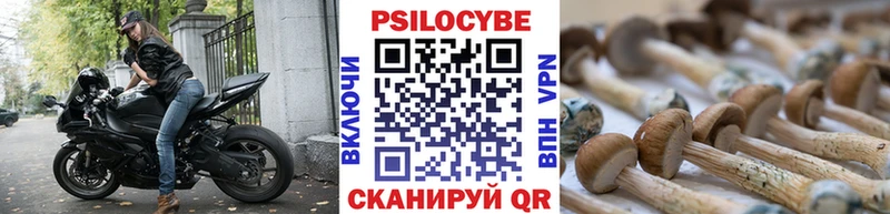 KRAKEN зеркало  Карабаново  Галлюциногенные грибы Magic Shrooms 